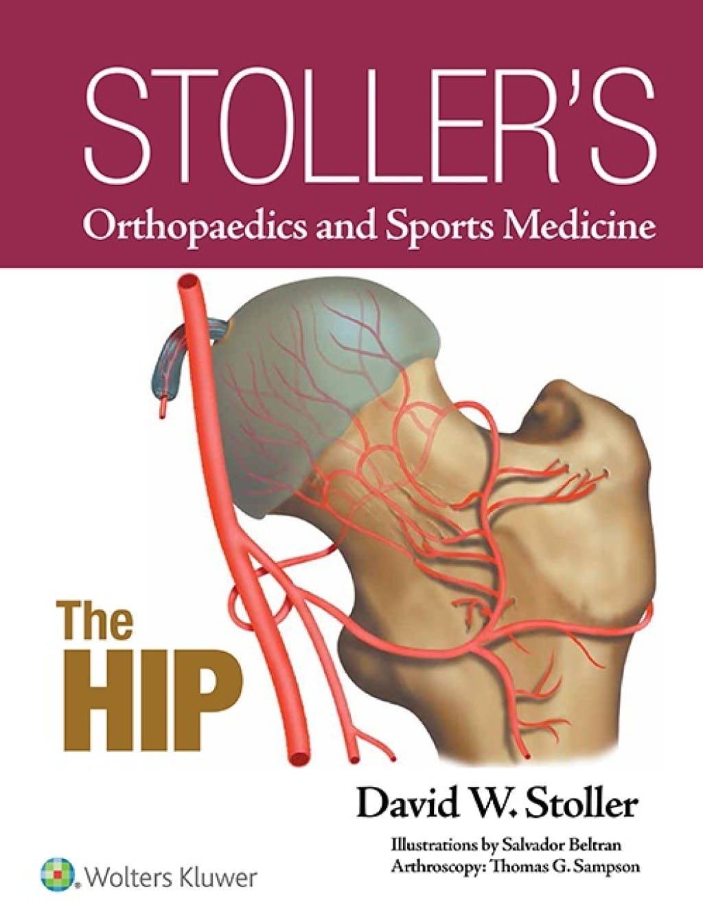 Stoller’s Orthopaedics And Sports Medicine: The Hip