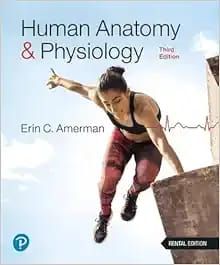 Human Anatomy &amp; Physiology – Erin C. Amerman, 3rd Edition