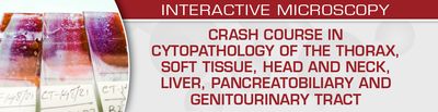 Crash Course in Cytopathology: Thorax, Soft Tissue, Head and Neck, Liver, Pancreatobiliary and Genitourinary Tract – USCAP