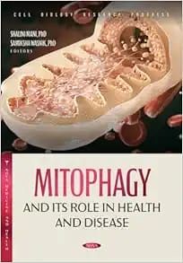 Mitophagy and Its Role in Health and Disease