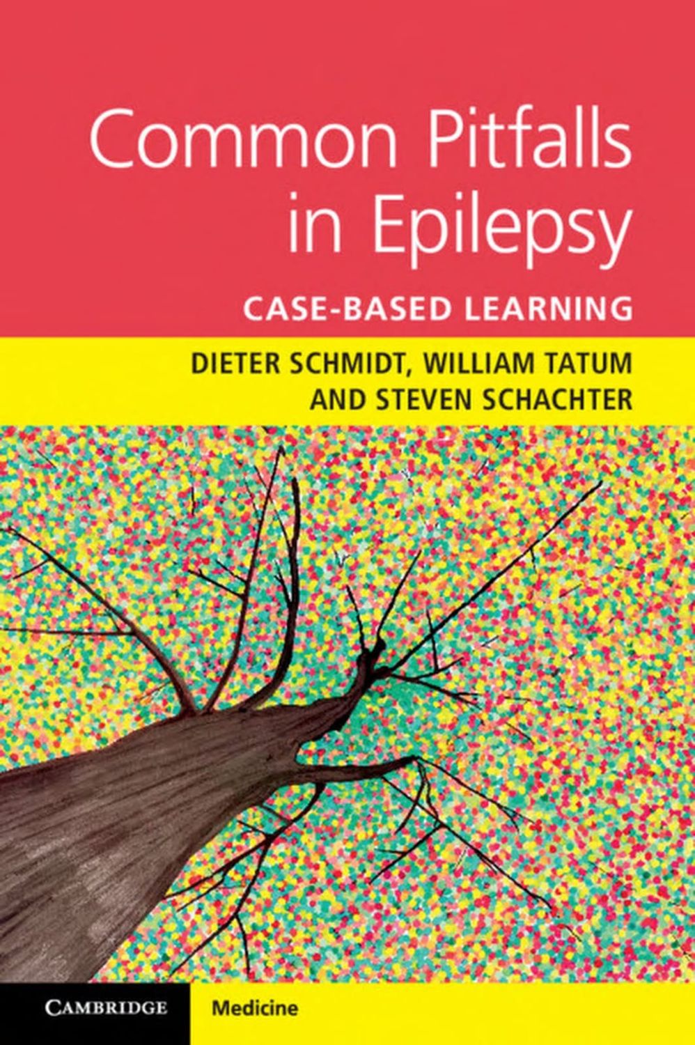 Common Pitfalls in Epilepsy: Case-Based Learning, 1st Edition