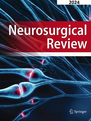 Neurosurgical Review 2024