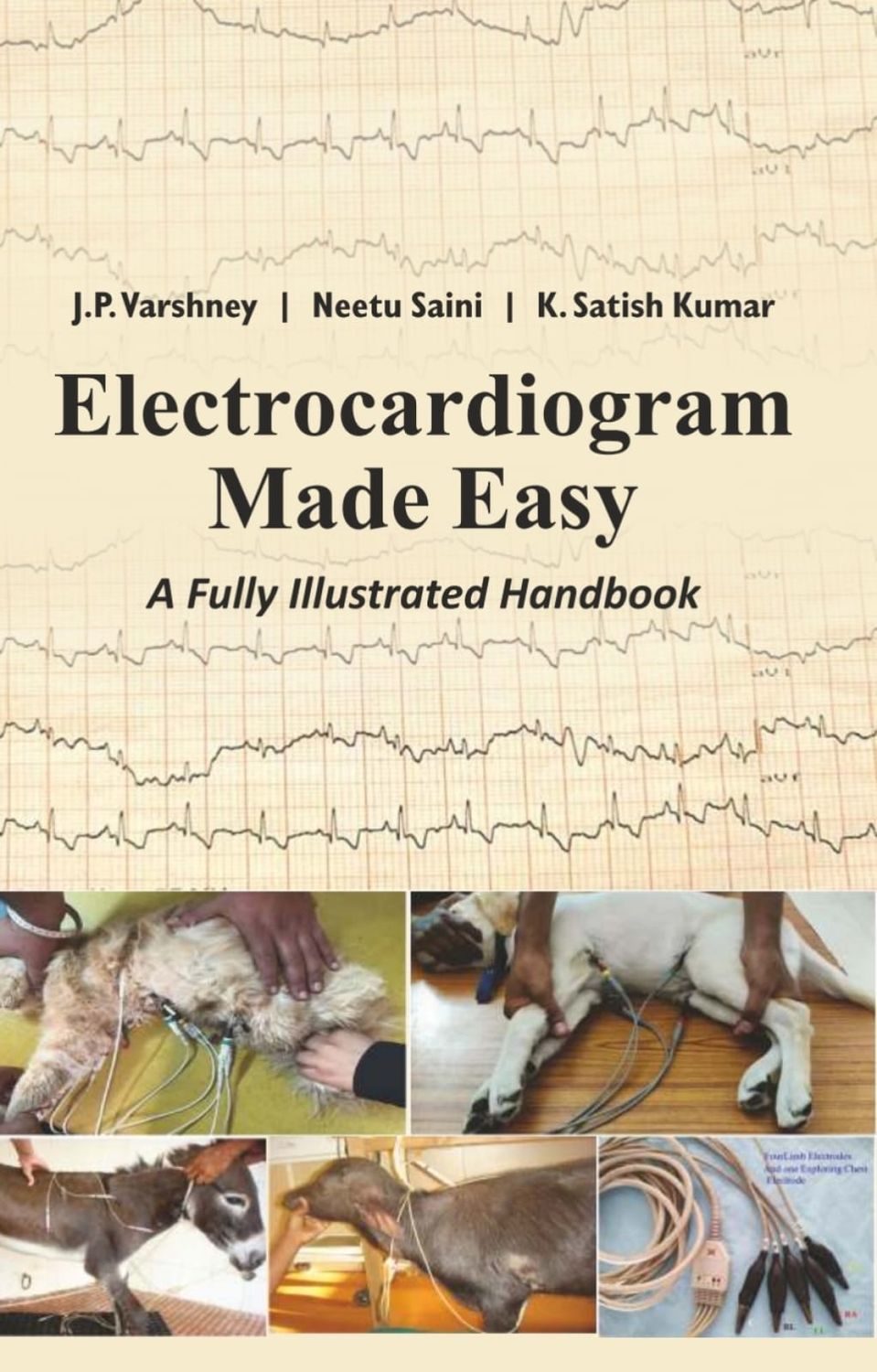 Electrocardiogram Made Easy: A Fully Illustrated Handbook