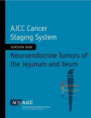 AJCC Staging System Version 9 (Complete Set of 15 Original Pdfs)