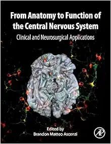 From Anatomy to Function of the Central Nervous System: Clinical and Neurosurgical Applications