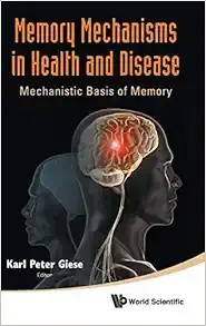 Memory Mechanisms