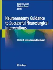 Neuroanatomy Guidance to Successful Neurosurgical Interventions: The Torch of Neurosurgical Excellence (Original PDF from Publisher)