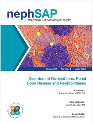 NephSap nephrology self-assessment programme