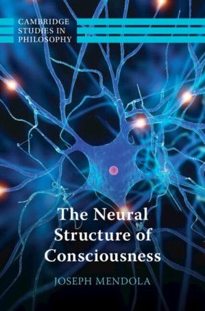The Neural Structure of Consciousness (Cambridge Studies in Philosophy)