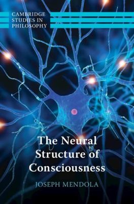 The Neural Structure of Consciousness (Cambridge Studies in Philosophy)