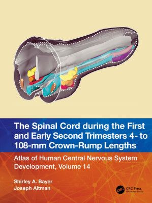 The Spinal Cord During the First and Early Second Trimesters 4- to 108-mm Crown-Rump Lengths : Atlas of Human Central Nervous System Development, Volume 14