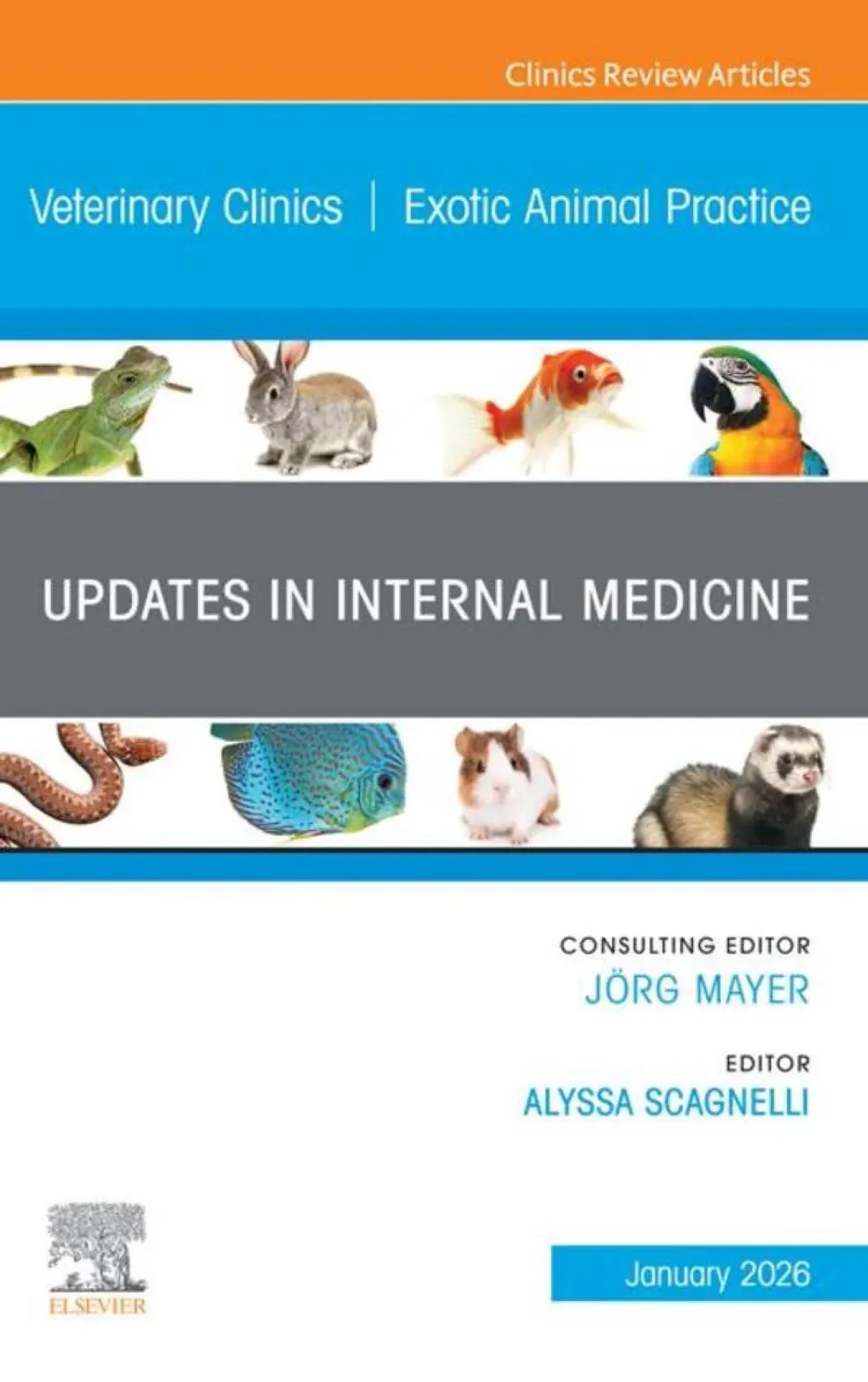 Updates in Internal Medicine, An Issue of Veterinary Clinics of North America: Exotic Animal Practice (EPUB)