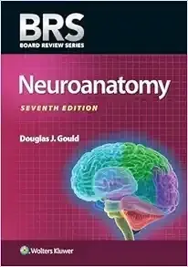 BRS Neuroanatomy, 7th Edition (EPub)
