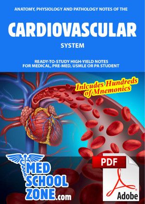 CARDIOVASCULAR SYSTEM 1