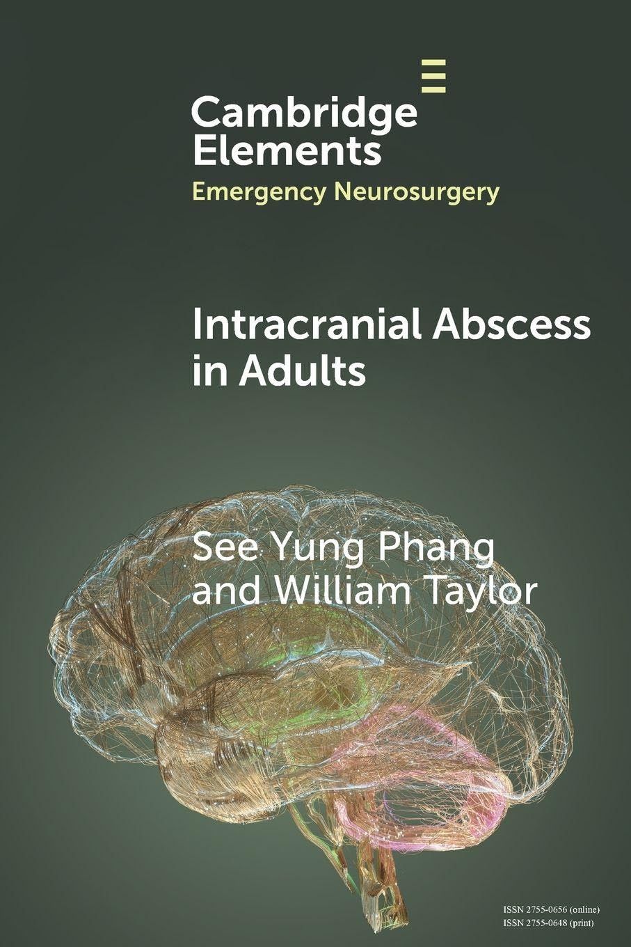 Intracranial Abscess in Adults (Elements in Emergency