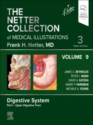 The Netter Collection of Medical Illustrations: Digestive System