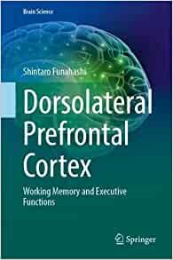 Dorsolateral Prefrontal Cortex: Working Memory and Executive Functions (Brain Science)