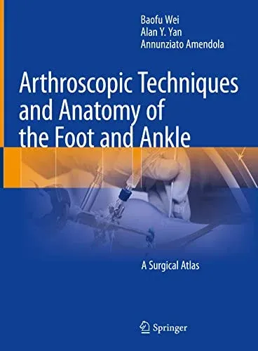 Arthroscopic Techniques and Anatomy of the Foot and Ankle: A Surgical Atlas