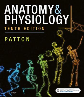 Anatomy &amp; Physiology, 10th Edition
