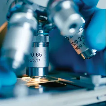 Molecular Correlates in Genitourinary Pathology