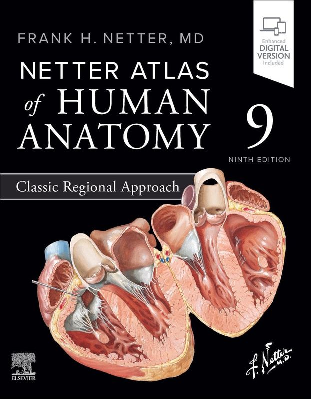 The Netter Atlas of Human Anatomy