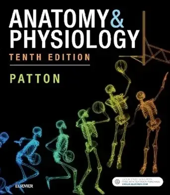 Anatomy &amp; Physiology, 10th Edition