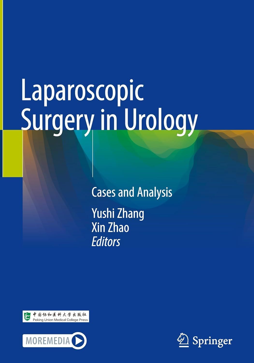 Laparoscopic Surgery in Urology: Cases and Analysis