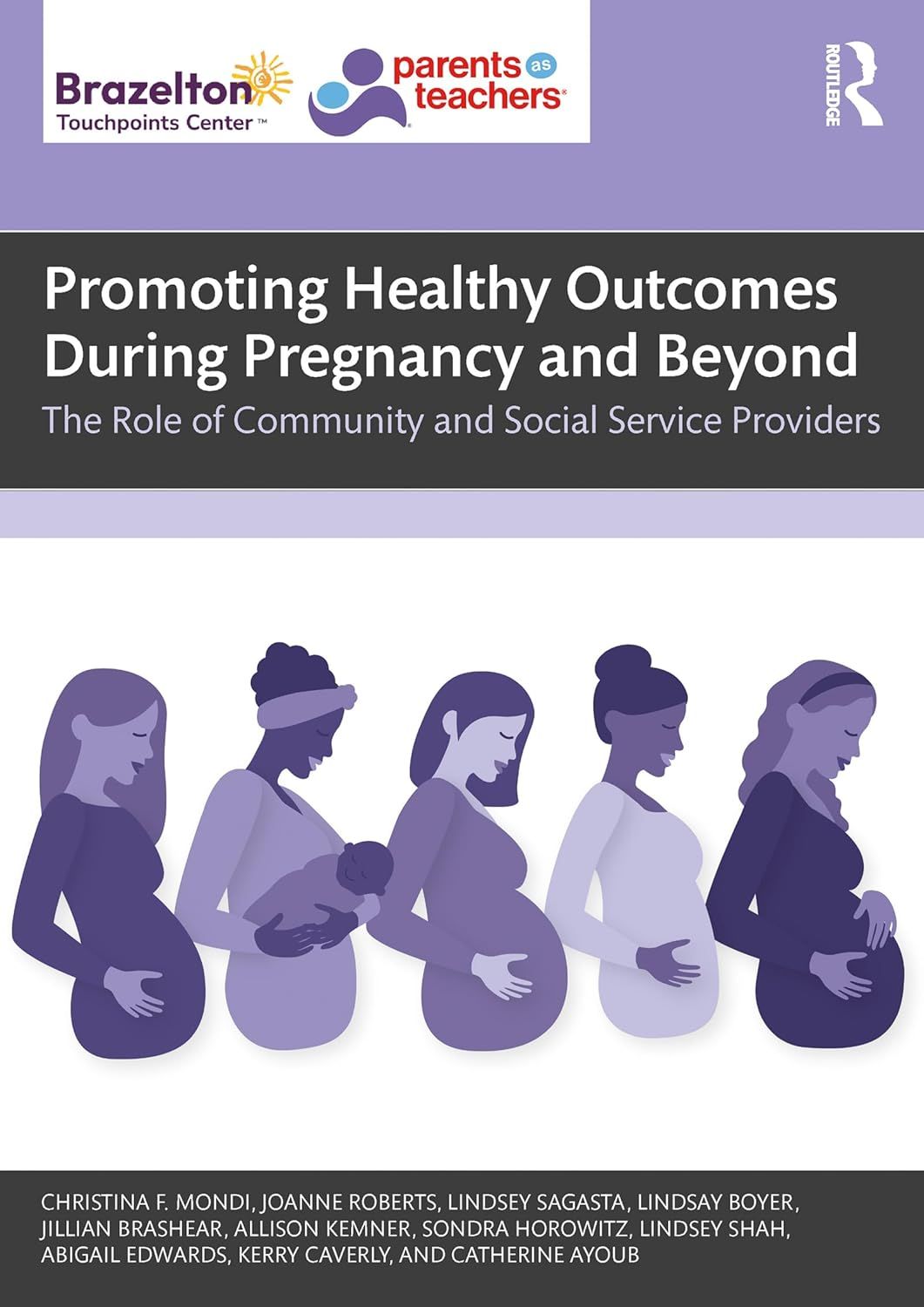 Promoting Healthy Outcomes During Pregnancy and Beyond: The Role of Community and Social Service Providers