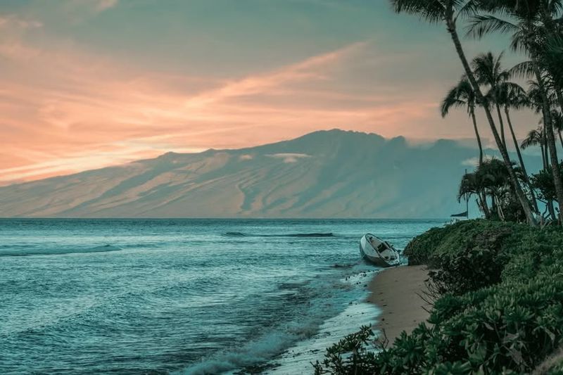 14th Annual Primary Care Winter Conference (Videos + PDFs)