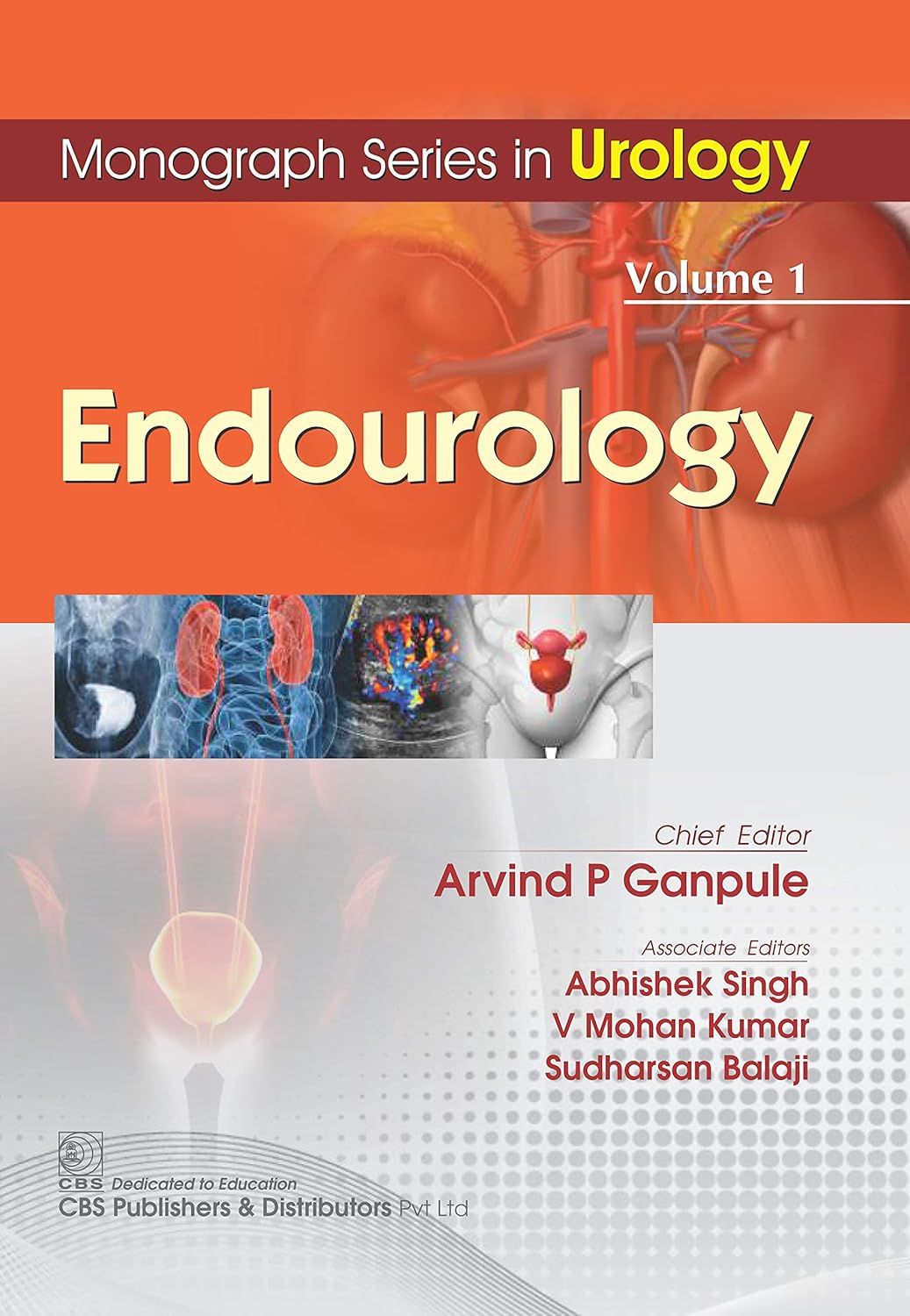 Endoruology Vol. 1: Endourology (Monograph Series in Urology