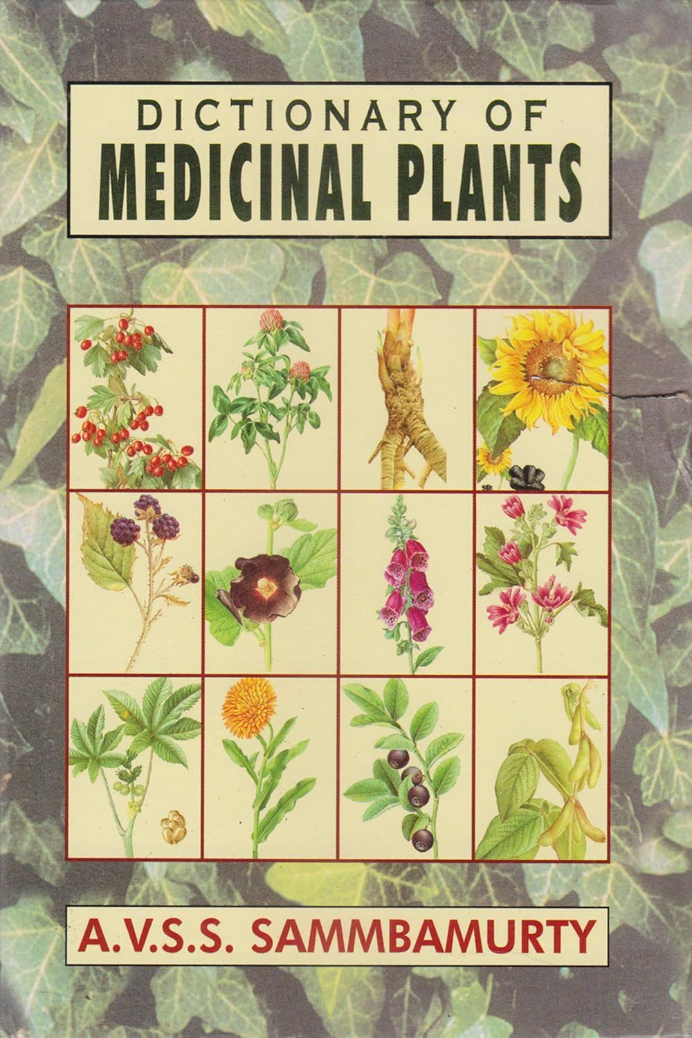 Dictionary of Medical Plant