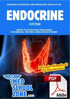 Endocrine system