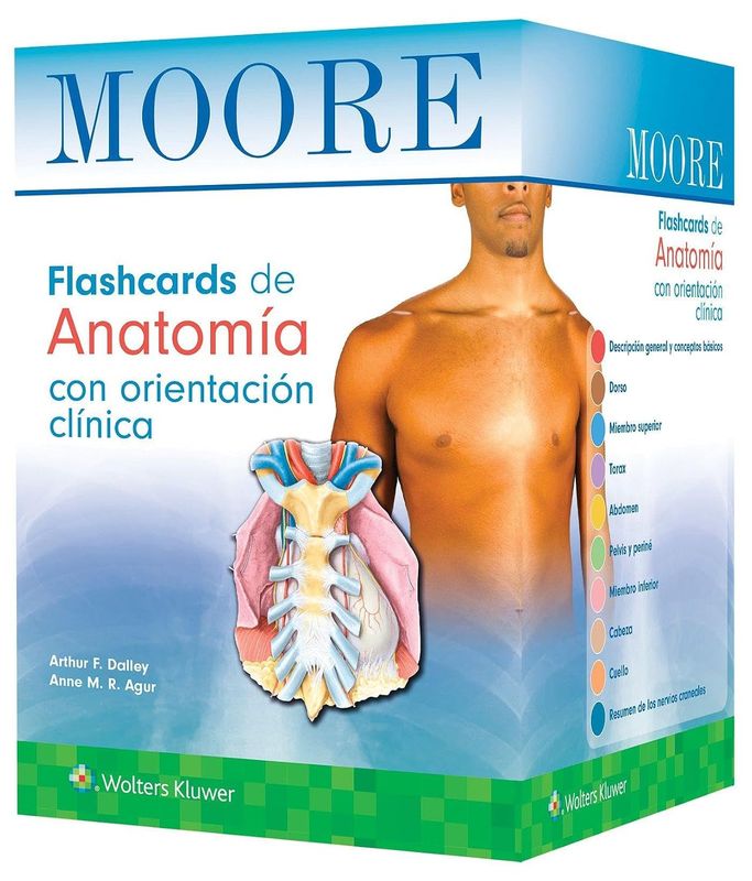 Moore. Flashcards de Anatomía con orientación clínica (Spanish Edition)