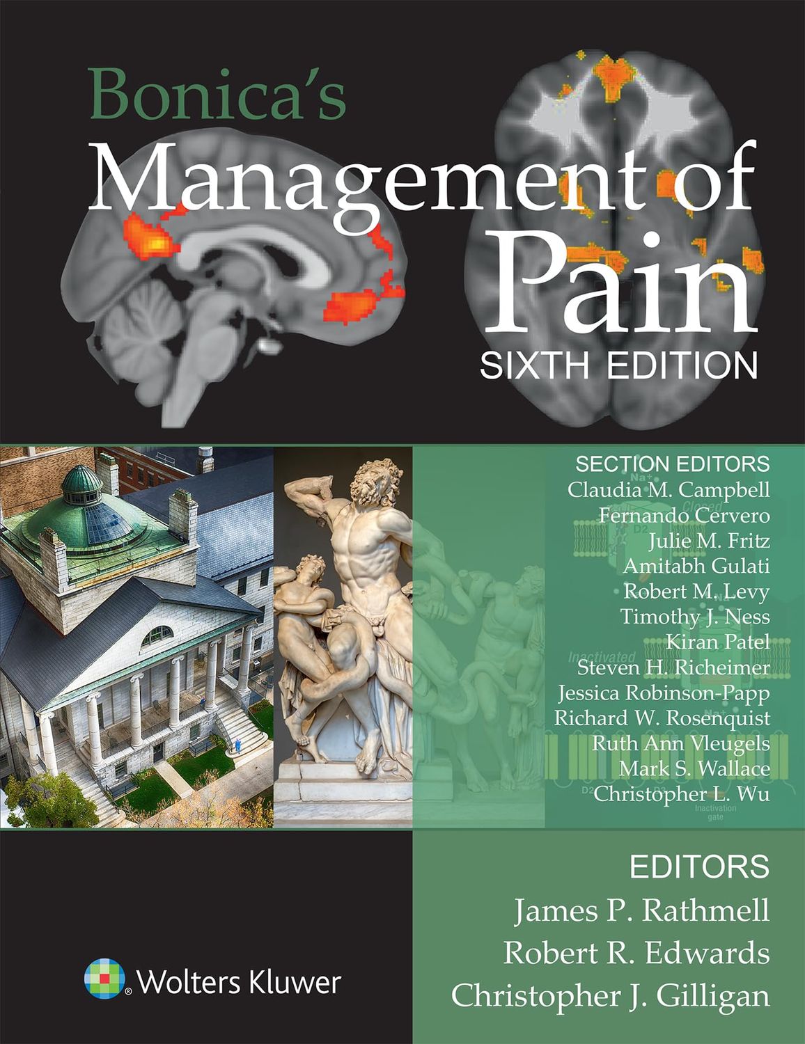 Bonica's Management of Pain, 6th Edition