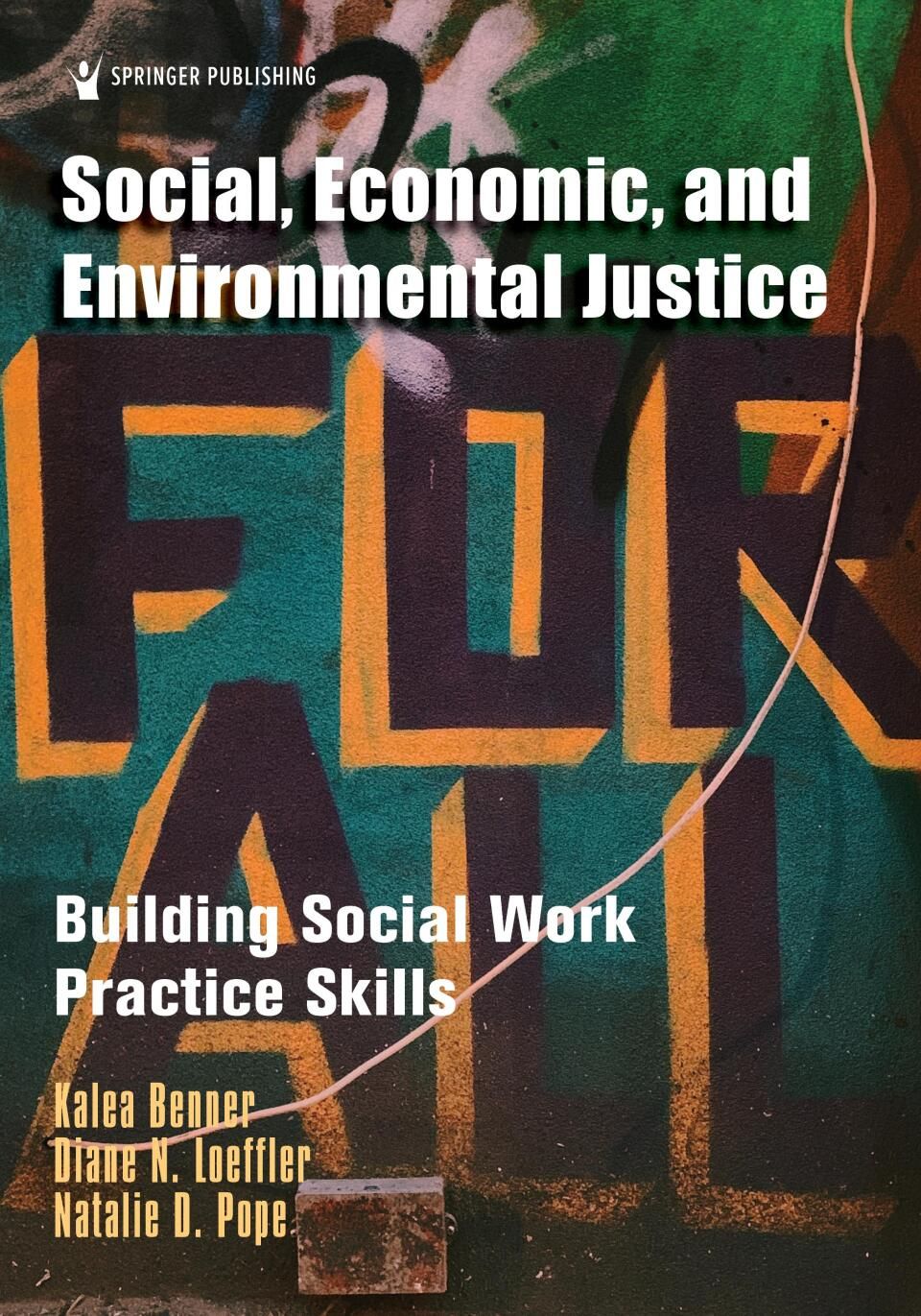 Social, Economic, and Environmental Justice: Building Social Work Practice Skills