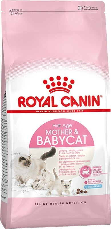 Mother & babycat (gestation/lactation et chaton 1-4mois)