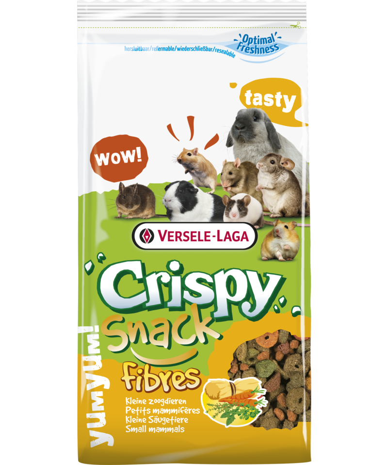 Crispy snack fibres