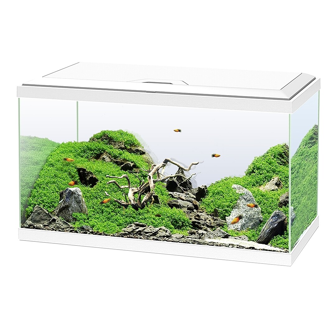 Aquarium ciano 60 led