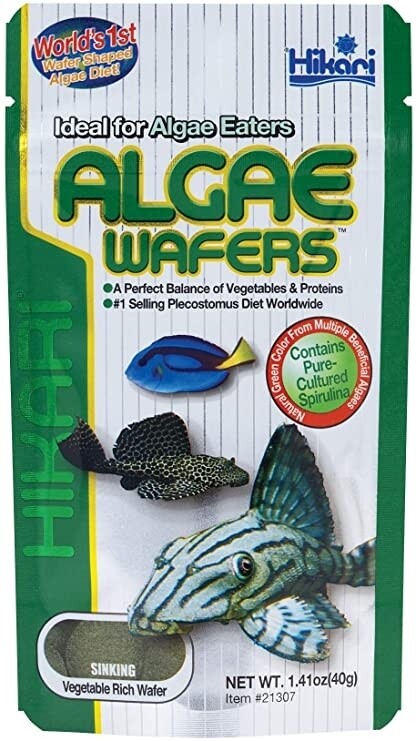 Nourriture mangeurs d'algues Algae wafers HIKARI