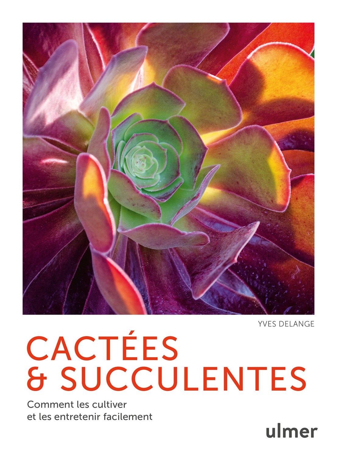 Cactées et succulentes - Yves DELANGE