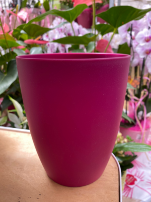 Pot brussels pour orchidées D12cm