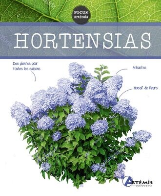 Hortensias - Editions Artémis