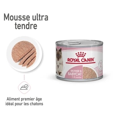 Mother &amp; Babycat Mousse 195g