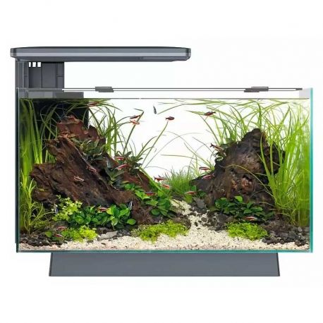 Aquarium SuperFish Quadro 40 Noir