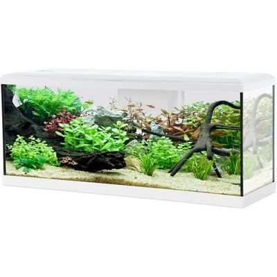 Aquarium Tana 100 blanc