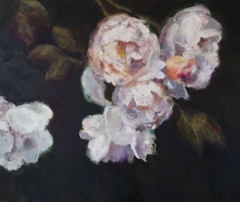 Night Roses