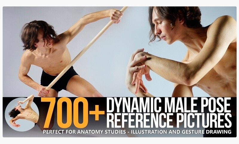 700+ Dynamic Male Pose Reference Pack