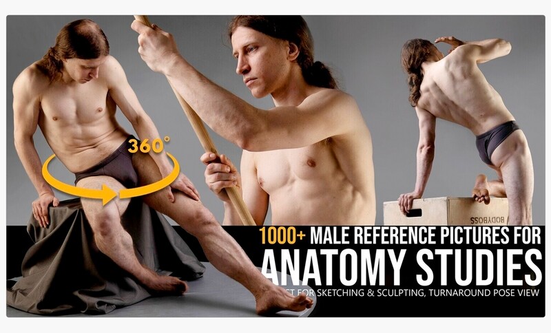 1000+ Turnaround Male Reference Pictures for Anatomy Studies