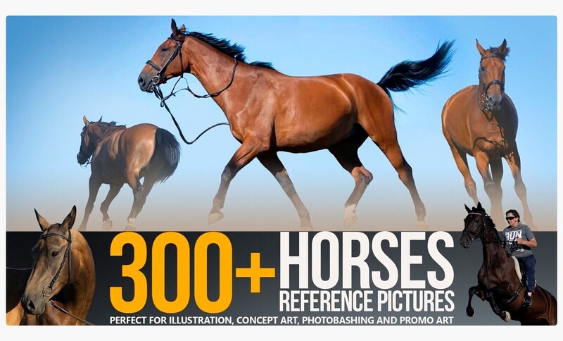 300+ Horses Reference Pictures