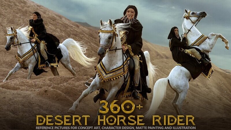 360+ Desert Horse Rider